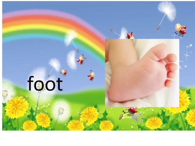 foot