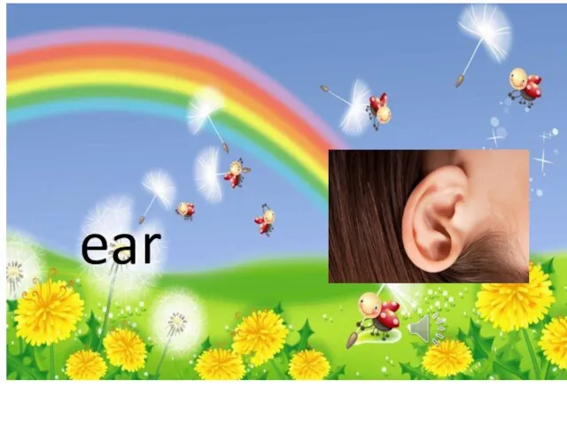 ear