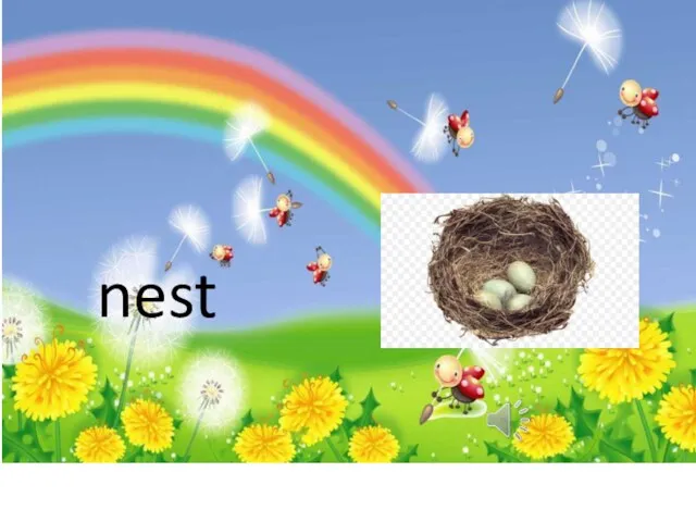 nest