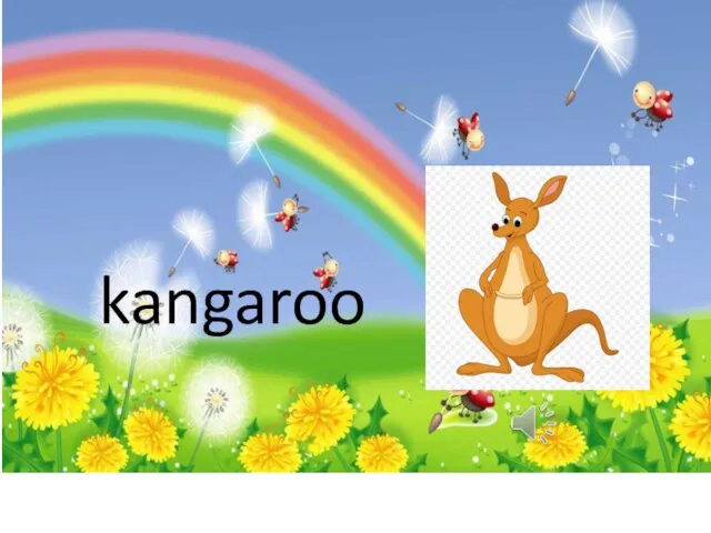 kangaroo