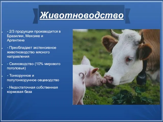 Животноводство - 2/3 продукции производится в Бразилии, Мексике и Аргентине