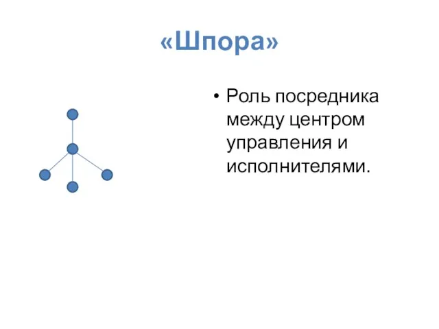 «Шпора» Роль посредника между центром управления и исполнителями.