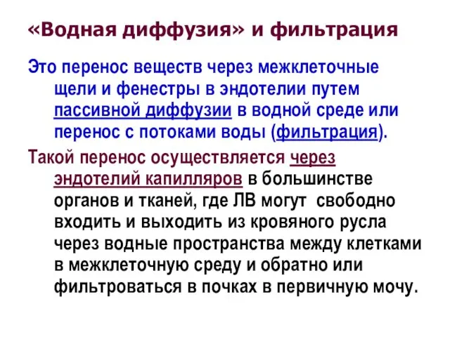 «Водная диффузия» и фильтрация Это перенос веществ через межклеточные щели и фенестры в