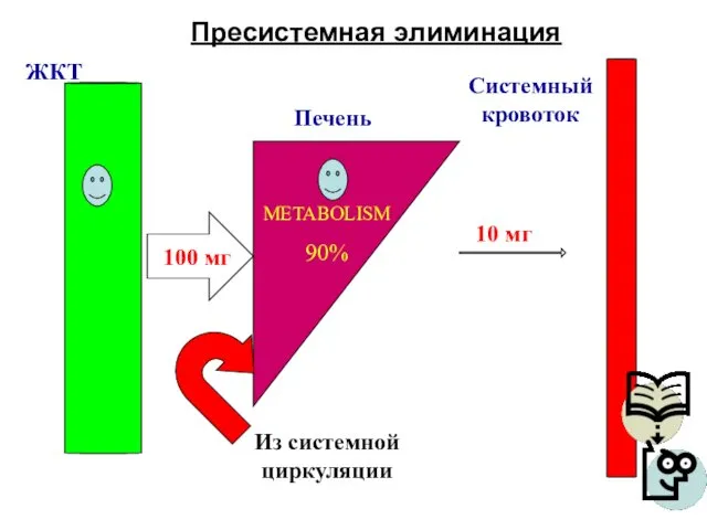 ЖКТ Системный кровоток Печень 100 мг 10 мг METABOLISM 90% Из системной циркуляции Пресистемная элиминация