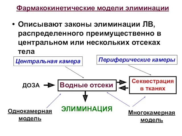 Фармакокинетические модели элиминации Описывают законы элиминации ЛВ, распределенного преимущественно в центральном или нескольких