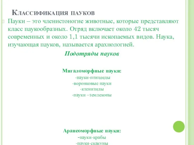 Классификация пауков Пауки – это членистоногие животные, которые представляют класс паукообразных. Отряд включает