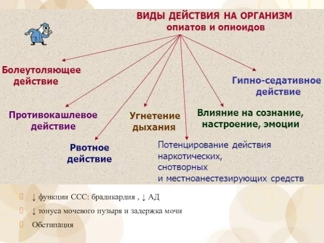 ↓ функции ССС: брадикардия , ↓ АД ↓ тонуса мочевого пузыря и задержка мочи Обстипация