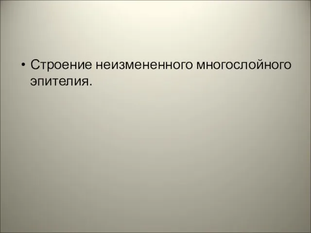 Строение неизмененного многослойного эпителия.