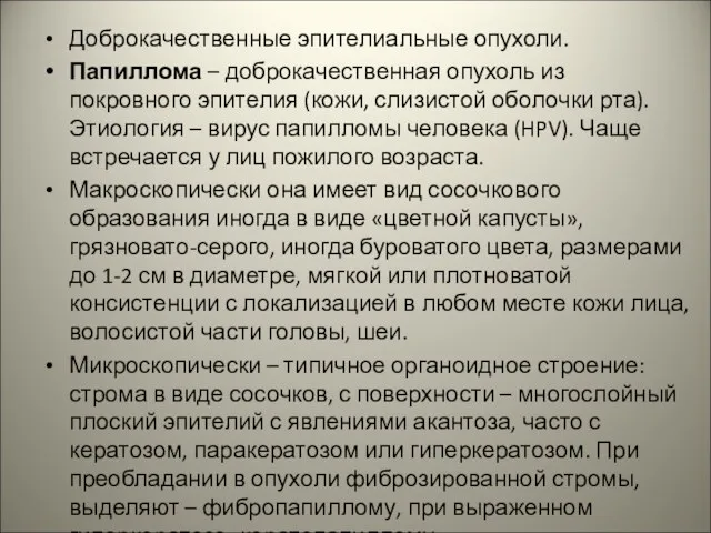 Доброкачественные эпителиальные опухоли. Папиллома – доброкачественная опухоль из покровного эпителия