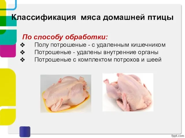 Классификация мяса домашней птицы По способу обработки: Полу потрошеные -