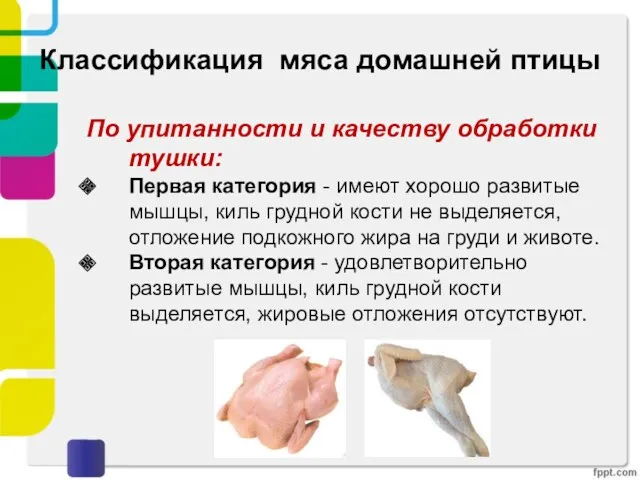 Классификация мяса домашней птицы По упитанности и качеству обработки тушки: