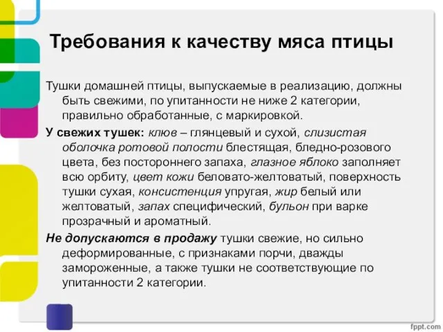 Требования к качеству мяса птицы Тушки домашней птицы, выпускаемые в