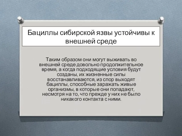 Бациллы сибирской язвы устойчивы к внешней среде Таким образом они