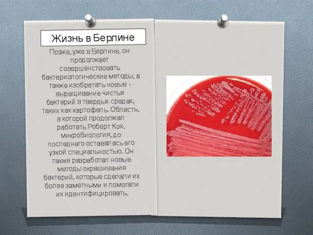 Жизнь в Берлине Позже, уже в Берлине, он продолжает совершенствовать