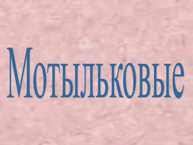 Мотыльковые