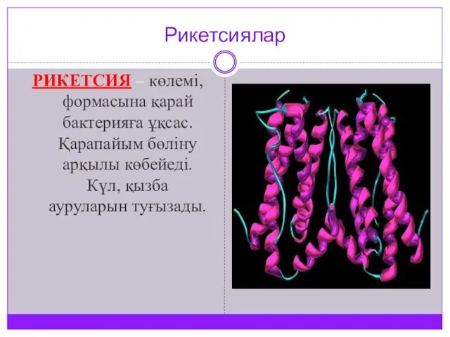 Рикетсиялар РИКЕТСИЯ – көлемі, формасына қарай бактерияға ұқсас. Қарапайым бөліну арқылы көбейеді. Күл, қызба ауруларын туғызады.