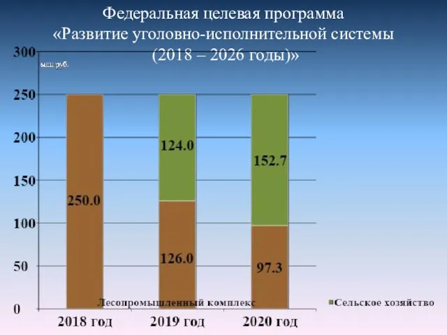 Федеральная целевая программа «Развитие уголовно-исполнительной системы (2018 – 2026 годы)»