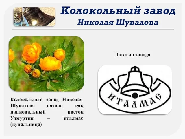 Колокольный завод Николая Шувалова назван как национальный цветок Удмуртии – италмас (купальница) Логотип