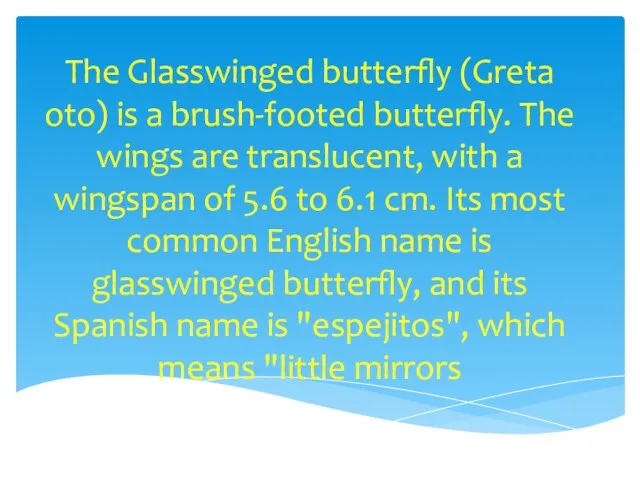 The Glasswinged butterfly (Greta oto) is a brush-footed butterfly. The