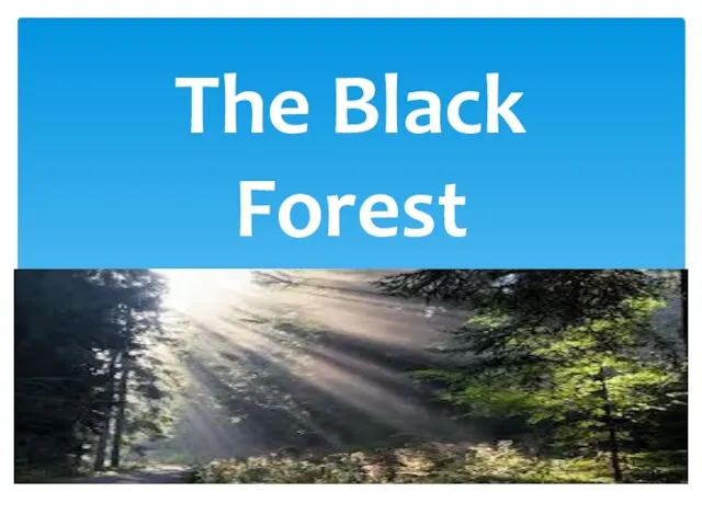 The Black Forest