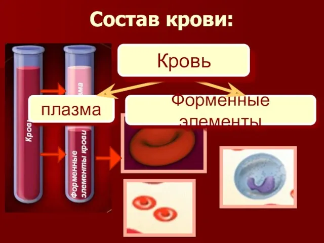 Состав крови: плазма Форменные элементы Кровь