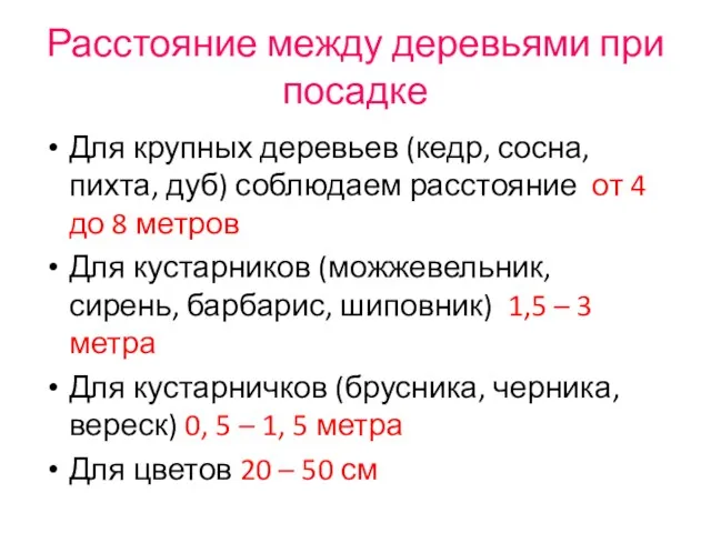 Расстояние между деревьями при посадке Для крупных деревьев (кедр, сосна,