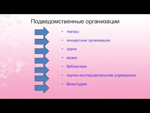 Подведомственные организации театры концертные организации цирки музеи библиотеки научно-исследовательские учреждения Киностудии