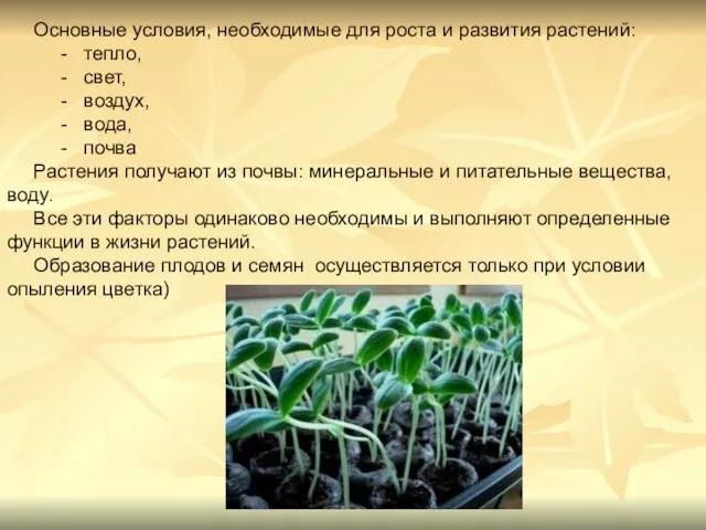 Основные условия, необходимые для роста и развития растений: - тепло,