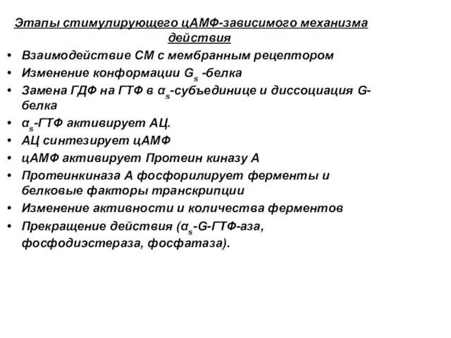 Этапы стимулирующего цАМФ-зависимого механизма действия Взаимодействие СМ с мембранным рецептором