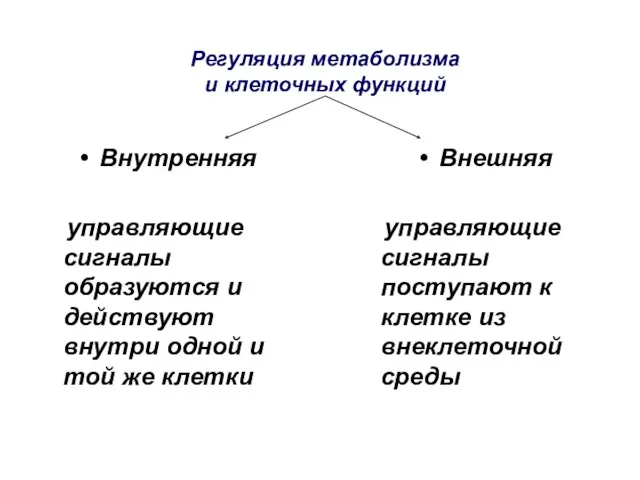 Внутренняя управляющие сигналы образуются и действуют внутри одной и той