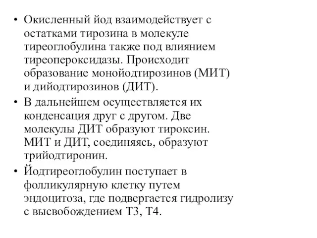 Окисленный йод взаимодействует с остатками тирозина в молекуле тиреоглобулина также