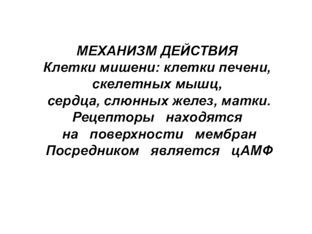 МЕХАНИЗМ ДЕЙСТВИЯ Клетки мишени: клетки печени, скелетных мышц, сердца, слюнных