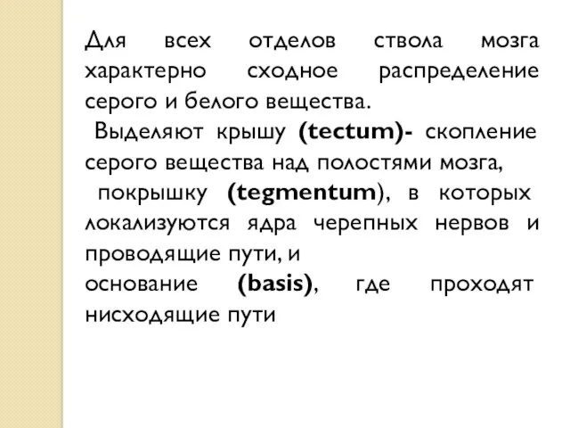 Для всех отделов ствола мозга характерно сходное распределение серого и