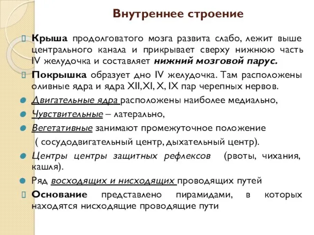 Внутреннее строение Крыша продолговатого мозга развита слабо, лежит выше центрального