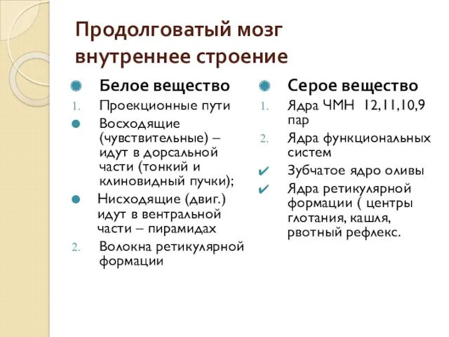 Продолговатый мозг внутреннее строение Белое вещество Проекционные пути Восходящие (чувствительные)