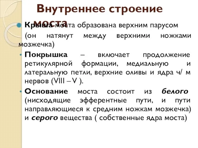 Внутреннее строение моста Крыша моста образована верхним парусом (он натянут