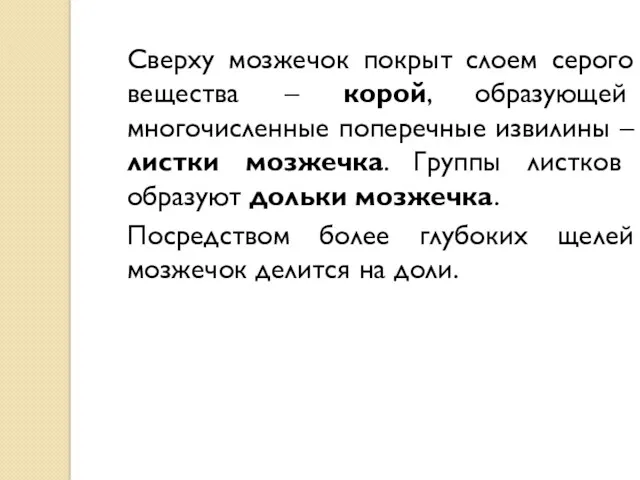 Сверху мозжечок покрыт слоем серого вещества – корой, образующей многочисленные