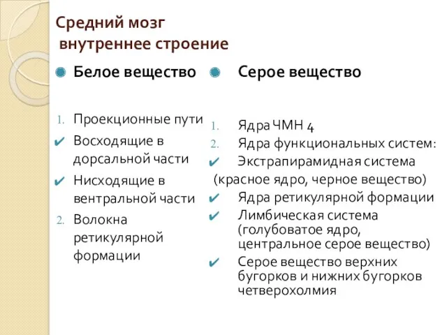 Средний мозг внутреннее строение Белое вещество Проекционные пути Восходящие в