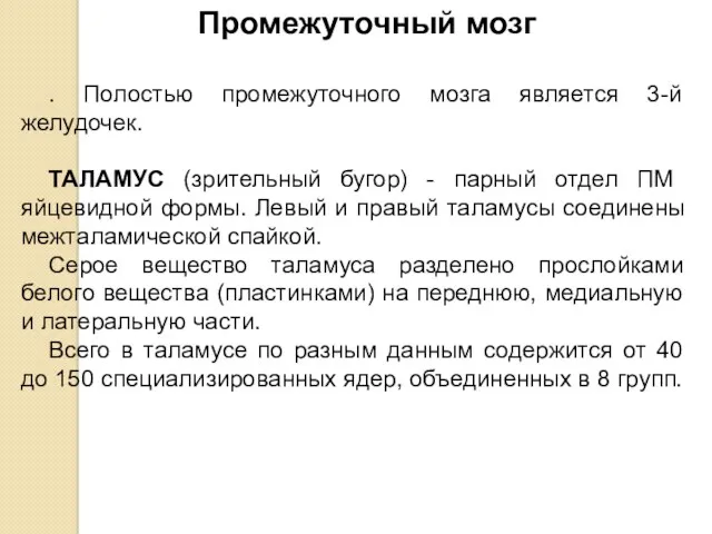 Промежуточный мозг . Полостью промежуточного мозга является 3-й желудочек. ТАЛАМУС