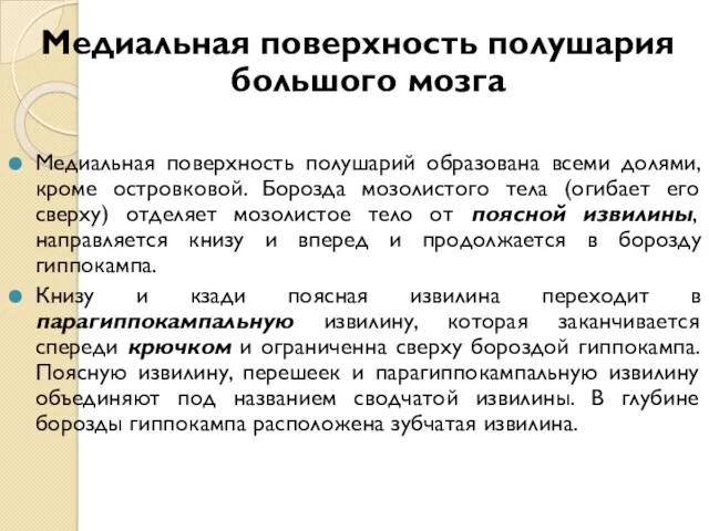 Медиальная поверхность полушария большого мозга Медиальная поверхность полушарий образована всеми