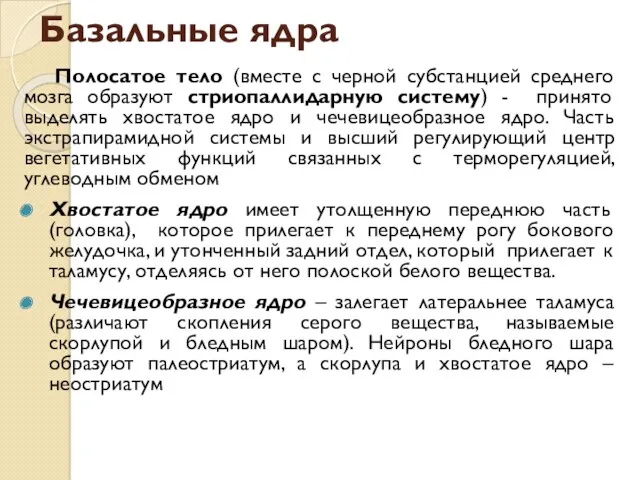 Базальные ядра Полосатое тело (вместе с черной субстанцией среднего мозга