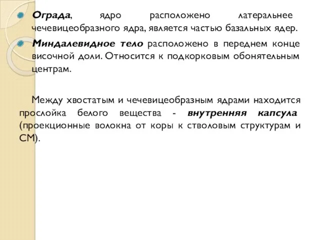 Ограда, ядро расположено латеральнее чечевицеобразного ядра, является частью базальных ядер.