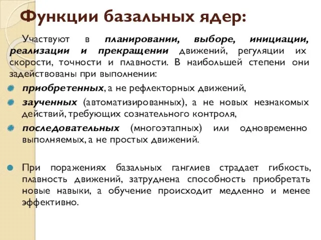 Функции базальных ядер: Участвуют в планировании, выборе, инициации, реализации и