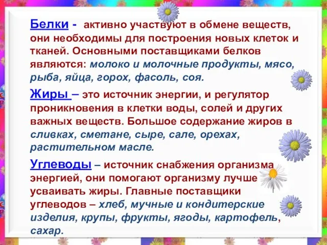 Белки - активно участвуют в обмене веществ, они необходимы для