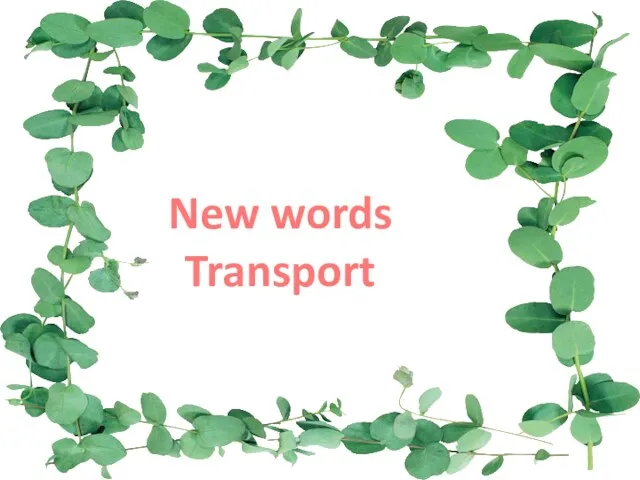 New words Transport