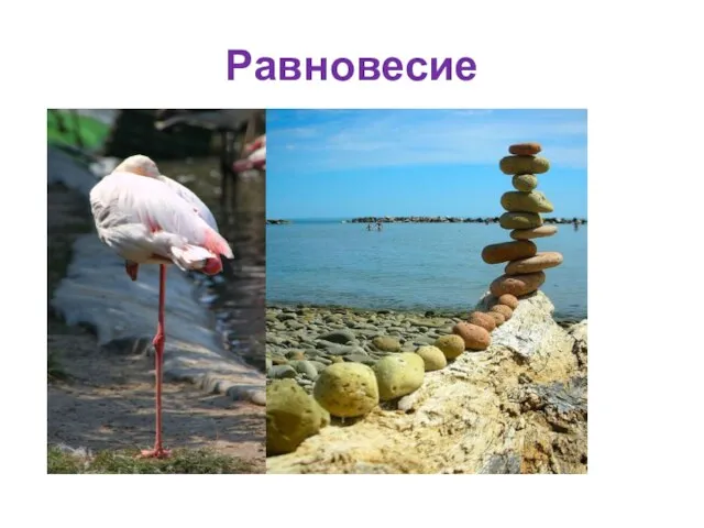 Равновесие