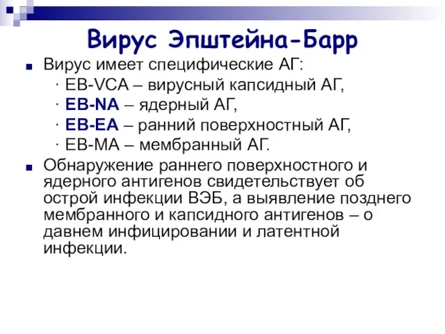 Вирус Эпштейна-Барр Вирус имеет специфические АГ: ∙ EB-VCA – вирусный