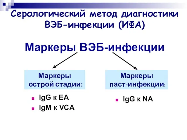 Маркеры ВЭБ-инфекции IgG к EA IgM к VCA IgG к