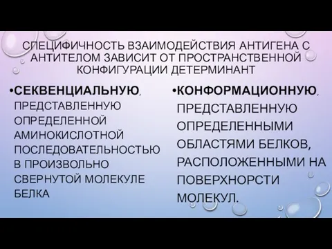 СПЕЦИФИЧНОСТЬ ВЗАИМОДЕЙСТВИЯ АНТИГЕНА С АНТИТЕЛОМ ЗАВИСИТ ОТ ПРОСТРАНСТВЕННОЙ КОНФИГУРАЦИИ ДЕТЕРМИНАНТ