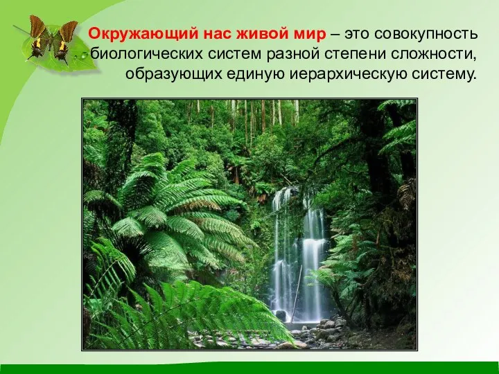 Окружающий нас живой мир – это совокупность биологических систем разной степени сложности, образующих единую иерархическую систему.
